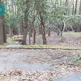 Review photo of Rocky Knob Campground — Blue Ridge Parkway by Jean C., June 30, 2021