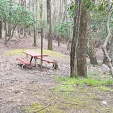 Review photo of Rocky Knob Campground — Blue Ridge Parkway by Jean C., June 30, 2021