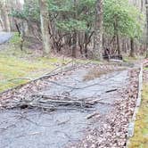 Review photo of Rocky Knob Campground — Blue Ridge Parkway by Jean C., June 30, 2021