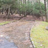 Review photo of Rocky Knob Campground — Blue Ridge Parkway by Jean C., June 30, 2021