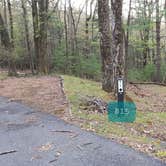 Review photo of Rocky Knob Campground — Blue Ridge Parkway by Jean C., June 30, 2021