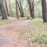 Review photo of Rocky Knob Campground — Blue Ridge Parkway by Jean C., June 30, 2021