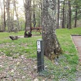 Review photo of Rocky Knob Campground — Blue Ridge Parkway by Jean C., June 30, 2021