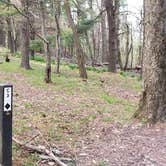 Review photo of Rocky Knob Campground — Blue Ridge Parkway by Jean C., June 30, 2021