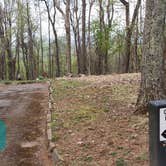 Review photo of Rocky Knob Campground — Blue Ridge Parkway by Jean C., June 30, 2021