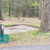 Review photo of Rocky Knob Campground — Blue Ridge Parkway by Jean C., June 30, 2021