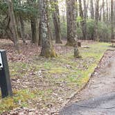 Review photo of Rocky Knob Campground — Blue Ridge Parkway by Jean C., June 30, 2021