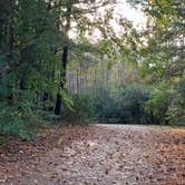 Review photo of Thousand Trails Chesapeake Bay by Ivonne G., June 30, 2021
