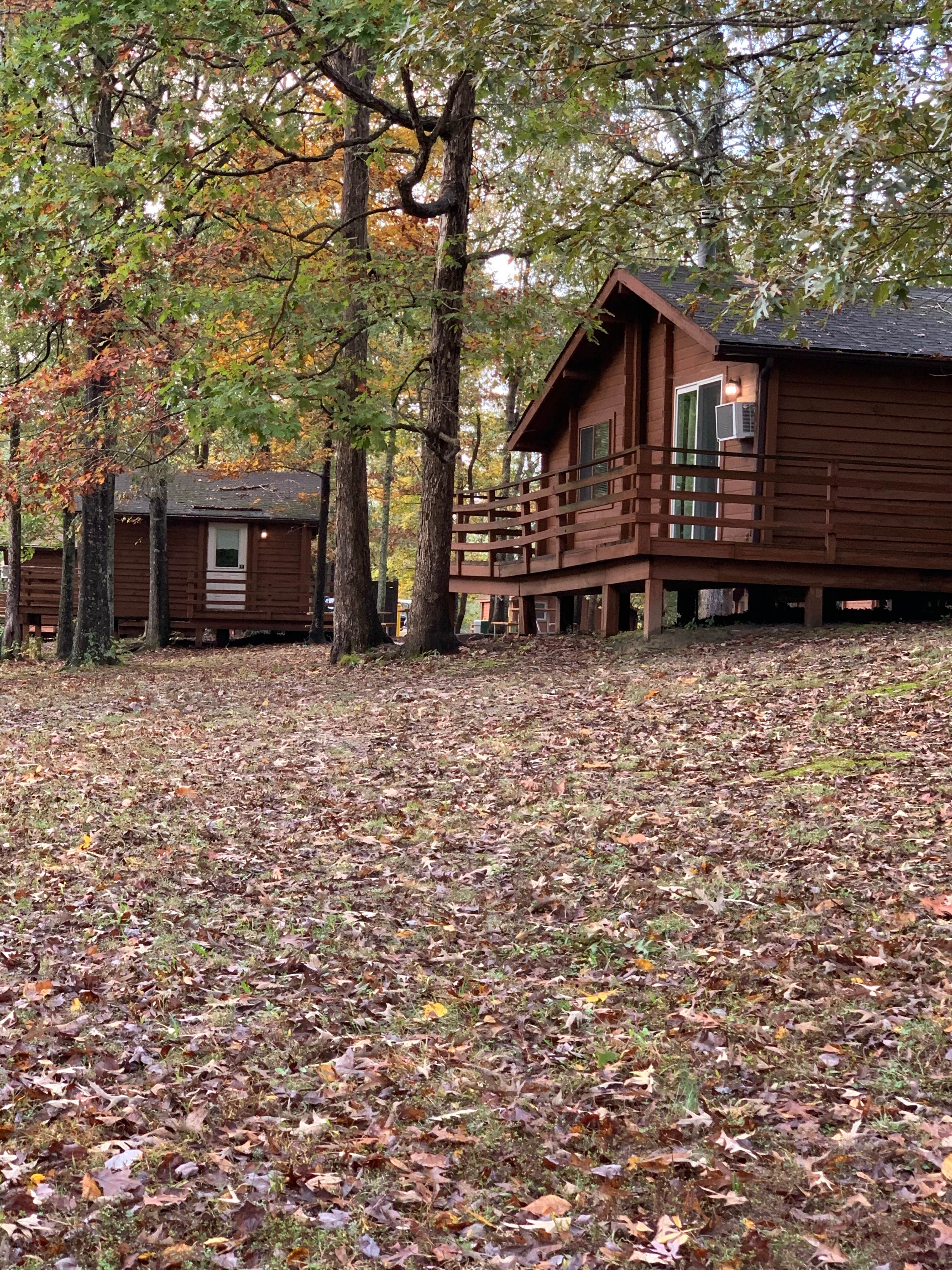 Ivonne G.'s photo of glamping accommodations at Thousand Trails Chesapeake Bay near Lanexa, VA