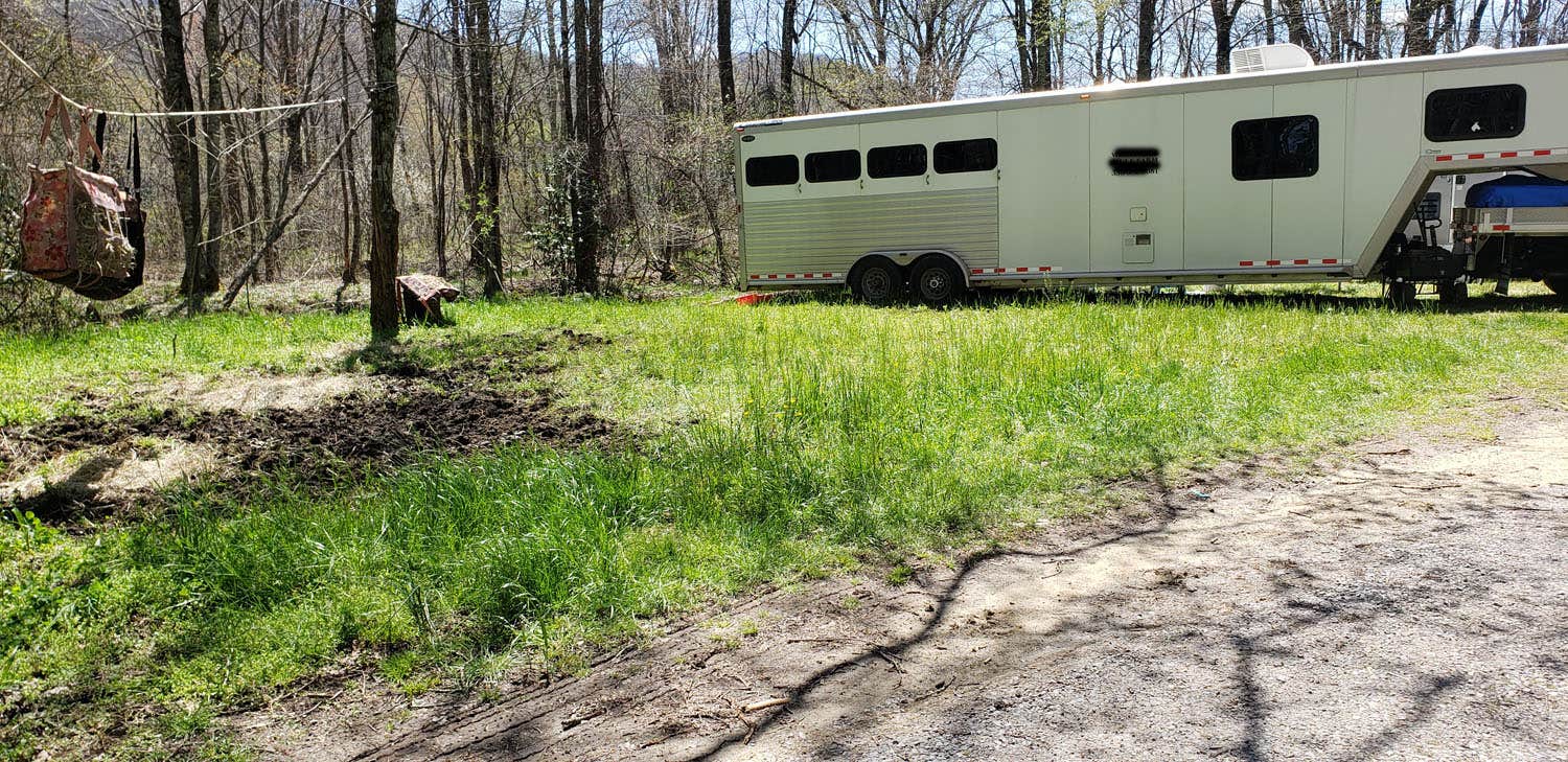 Camper submitted image from Old Virginia Group Horse Camp - 3