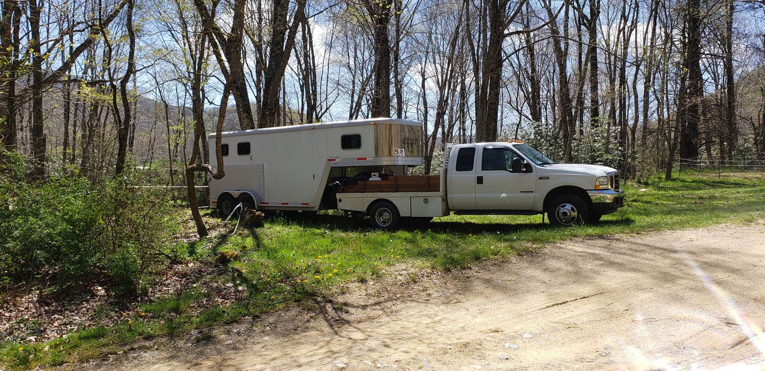 Camper submitted image from Old Virginia Group Horse Camp - 2