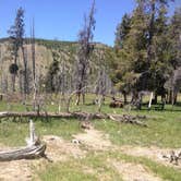 Review photo of Pebble Creek Campground — Yellowstone National Park - CLOSED IN 2024 by Alan B., June 12, 2018