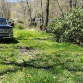 Review photo of Old Virginia Group Horse Camp by Jean C., June 30, 2021