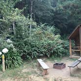 Review photo of Crescent City/Redwoods KOA by Mandi K., June 30, 2021