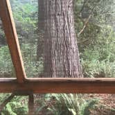 Review photo of Crescent City/Redwoods KOA by Mandi K., June 30, 2021