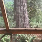 Review photo of Crescent City-Redwoods KOA by Mandi K., June 30, 2021