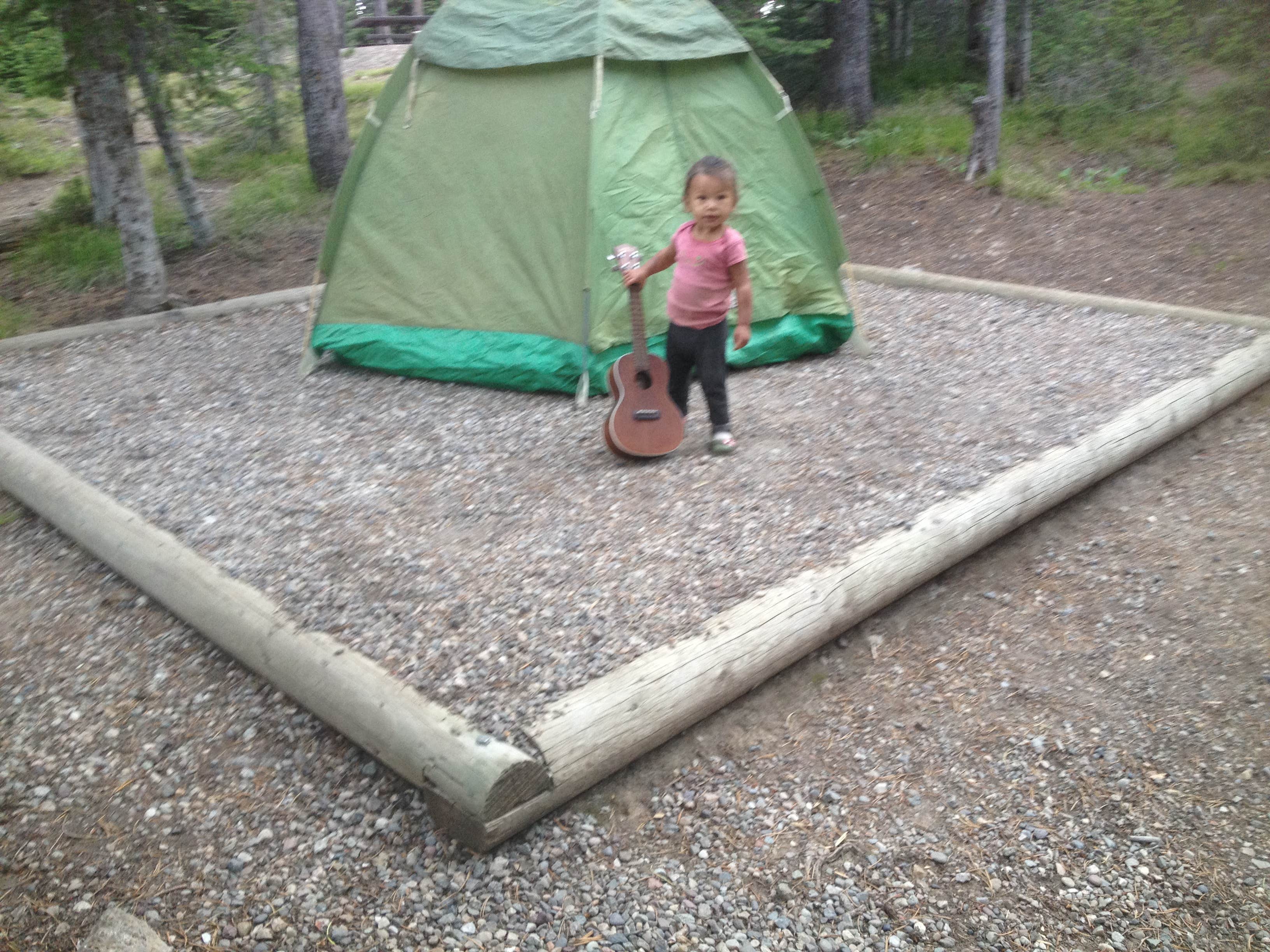 Alan B.'s photo at Pebble Creek Campground — Yellowstone National Park - CLOSED IN 2024 near Cooke City, MT