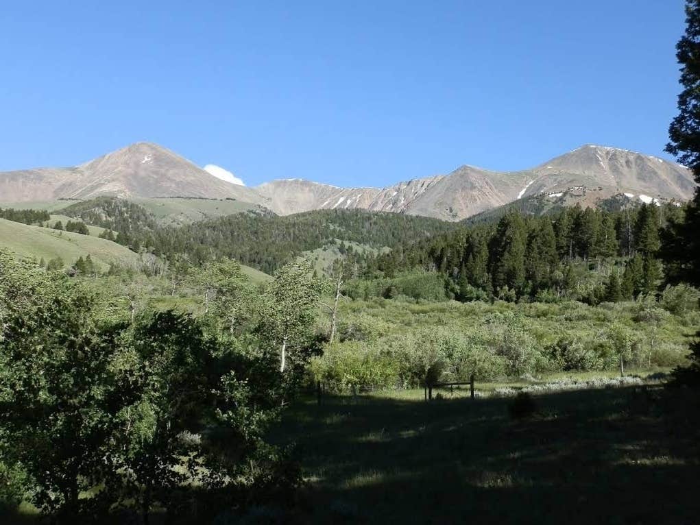 Camper submitted image from Beaverhead National Forest East Creek Campground - 2