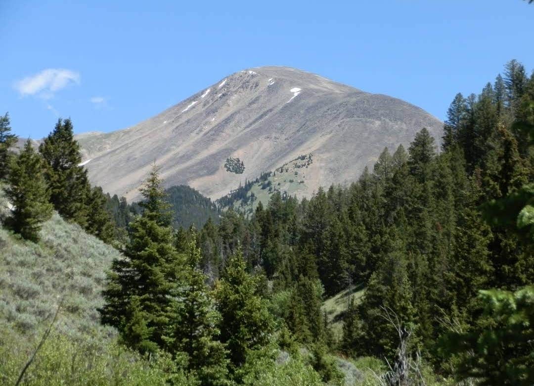Camper-submitted photo at Beaverhead National Forest East Creek Campground near Leadore, ID