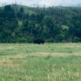 Review photo of Stockade Lake North Campground by Glenda D., June 30, 2021