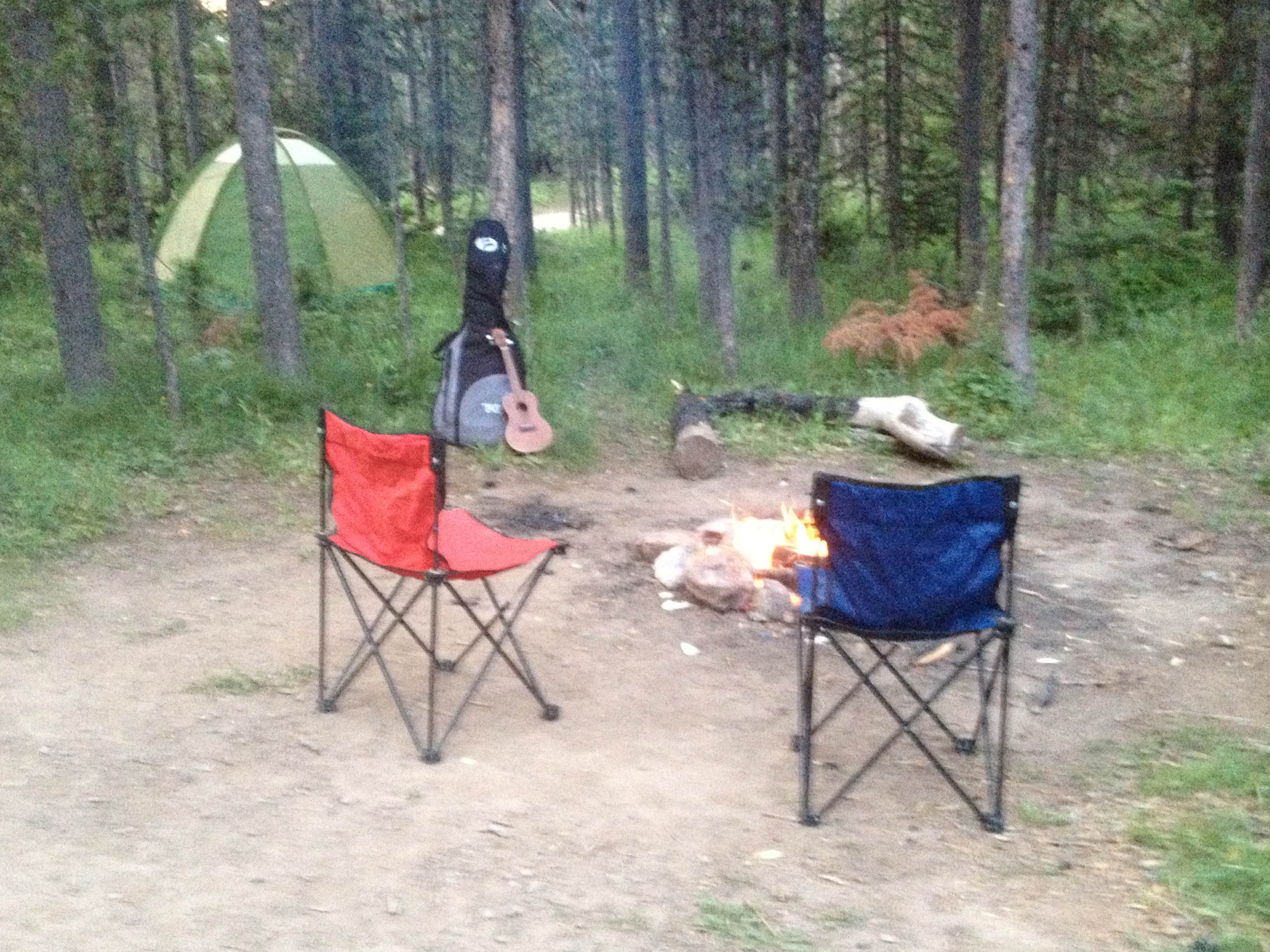 Camper submitted image from Pebble Creek Campground — Yellowstone National Park - CLOSED IN 2024 - 4
