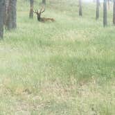 Review photo of Stockade North Campground — Custer State Park by Glenda D., June 30, 2021