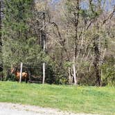 Review photo of Fox Creek Horse Camp by Jean C., June 30, 2021