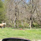 Review photo of Fox Creek Horse Camp by Jean C., June 30, 2021