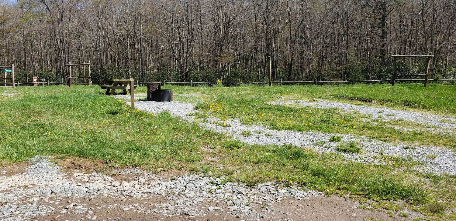 Camper submitted image from Fox Creek Horse Camp - 3