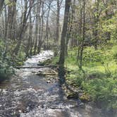 Review photo of Fox Creek Horse Camp by Jean C., June 30, 2021