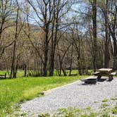 Review photo of Fox Creek Horse Camp by Jean C., June 30, 2021