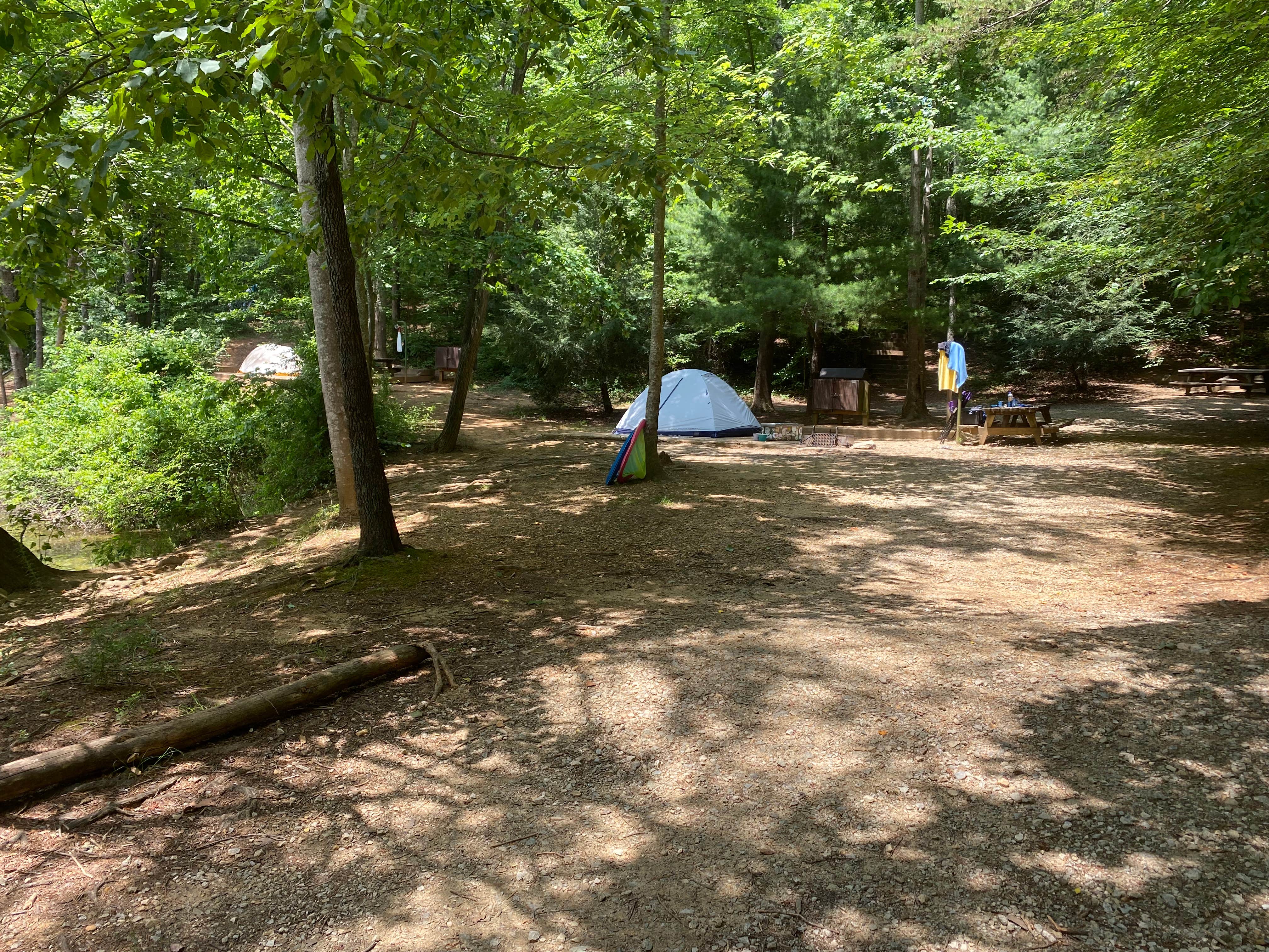 Alisa C.'s photo of tent camping at Walnut Grove — James River State Park near Montebello, VA