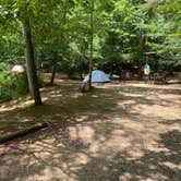 Review photo of Walnut Grove — James River State Park by Alisa C., June 30, 2021