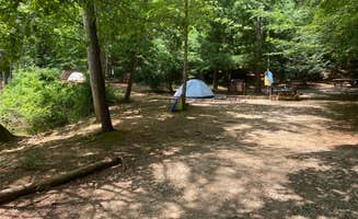 Alisa C.'s photo at Walnut Grove — James River State Park in Virginia