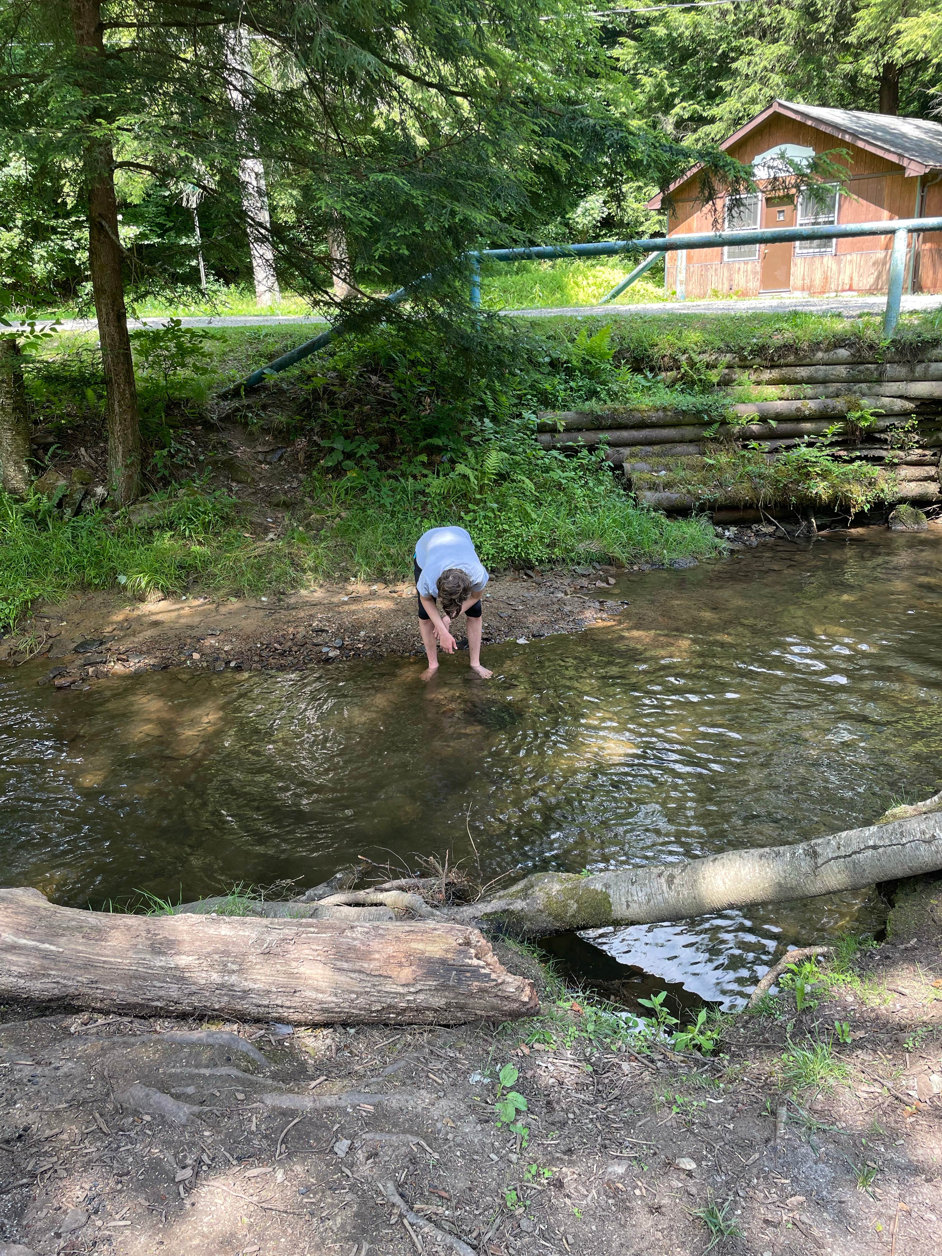 Camper submitted image from Whispering Pines Family Campground - 2