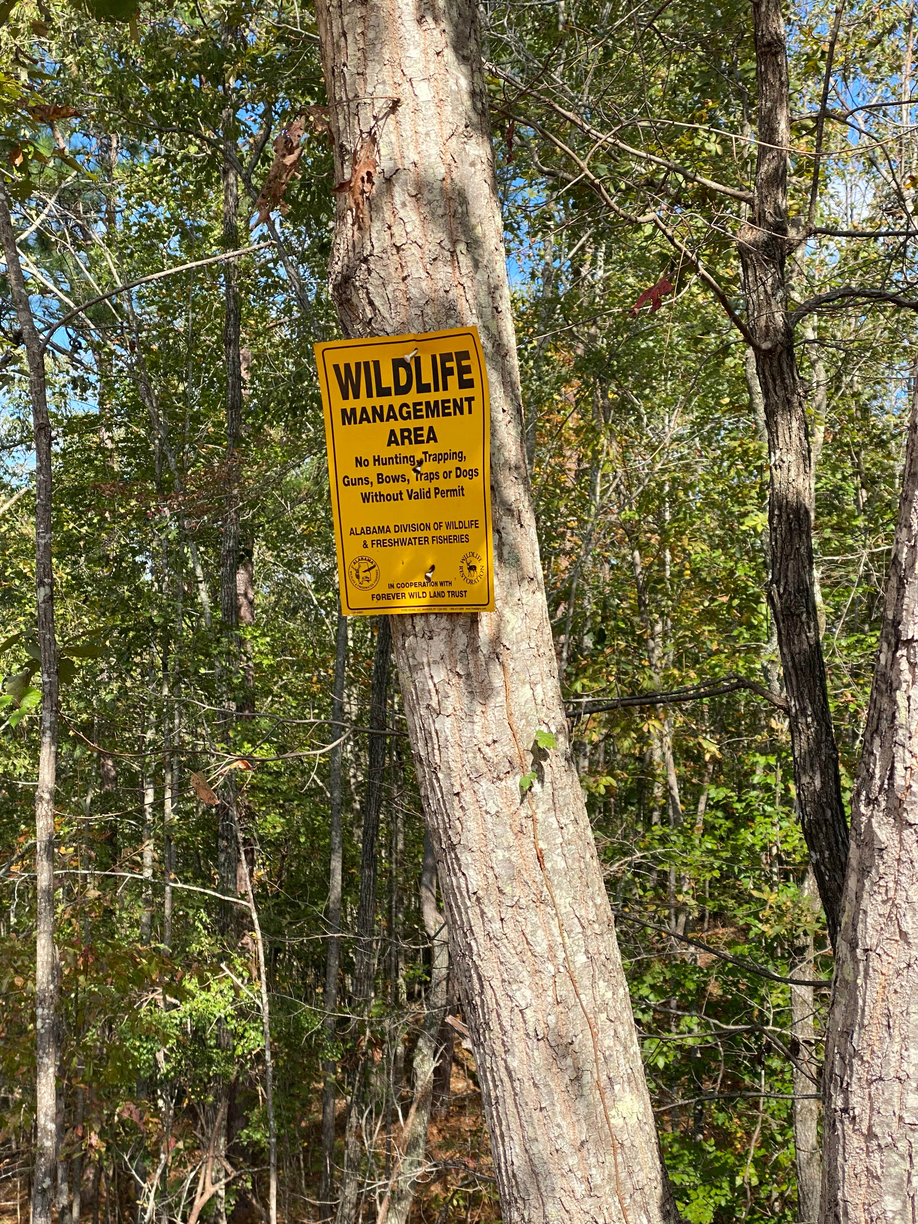 Camper-submitted photo at Weogufka State Forest Campsite 2 near Weogufka, AL