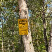 Review photo of Weogufka State Forest Campsite 2 by Asher K., June 30, 2021