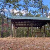 Review photo of Weogufka State Forest Campsite 2 by Asher K., June 30, 2021