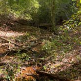 Review photo of Weogufka State Forest Campsite 2 by Asher K., June 30, 2021