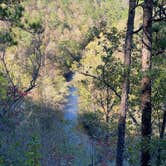 Review photo of Weogufka State Forest Campsite 2 by Asher K., June 30, 2021