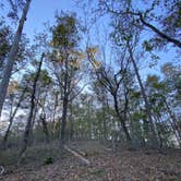 Review photo of Weogufka State Forest Campsite 2 by Asher K., June 30, 2021