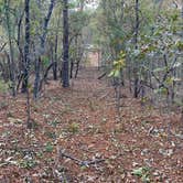 Review photo of Weogufka State Forest Campsite 2 by Asher K., June 30, 2021