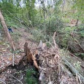 Review photo of Weogufka State Forest Campsite 2 by Asher K., June 30, 2021