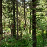 Review photo of Cathedral Campground by Kacy S., June 30, 2021