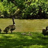 Review photo of Pride RV Resort by Myron C., July 1, 2021
