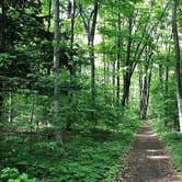 Review photo of Village Campground — Sleeping Bear Dunes National Lakeshore by GoWhereYouAreDraw N., July 1, 2021