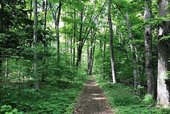 Camper submitted image from Village Campground — Sleeping Bear Dunes National Lakeshore - 2