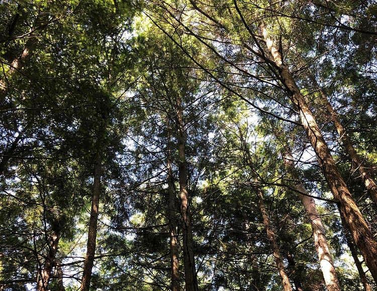 Camper-submitted photo at Little Bay De Noc near Nahma, MI