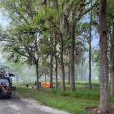 Review photo of Stephen Austin State Park by Bounding Around , July 1, 2021