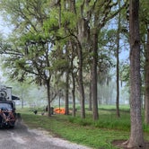 Review photo of Stephen Austin State Park Campground by Bounding Around , July 1, 2021